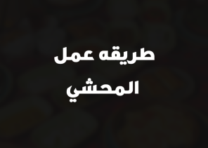 طريقه عمل المحشي
