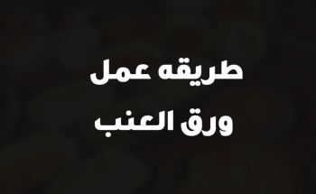 طريقه عمل ورق العنب